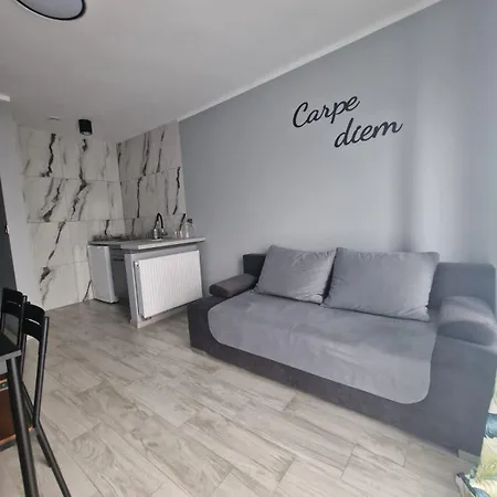 בית הארחה Carpe Diem Goscinne *